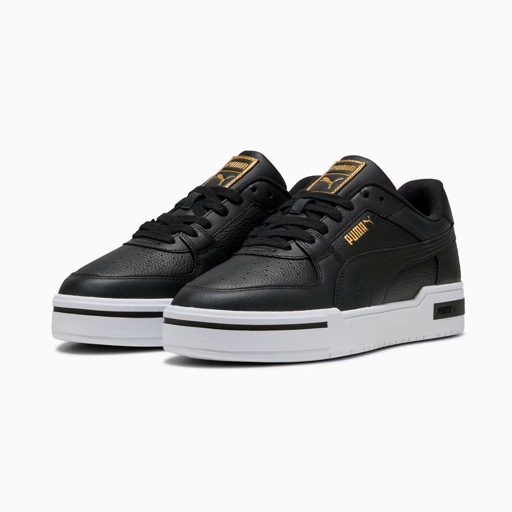 CA PRO CLASSIC II WNS