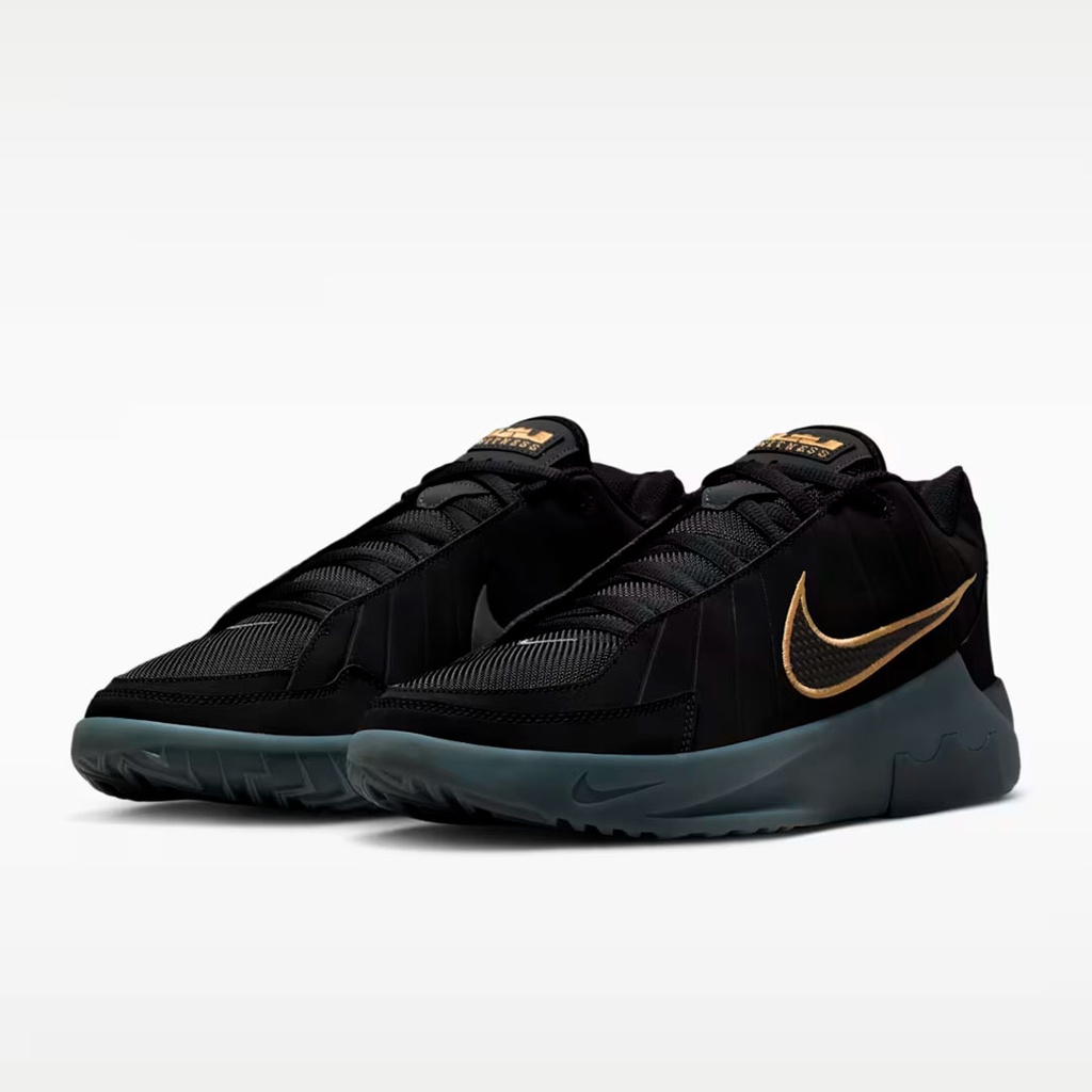LEBRON WITNESS IX