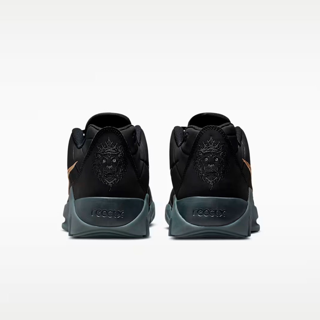 LEBRON WITNESS IX
