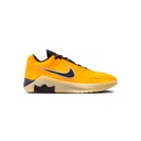 LEBRON WITNESS IX