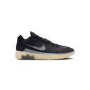 LEBRON WITNESS IX