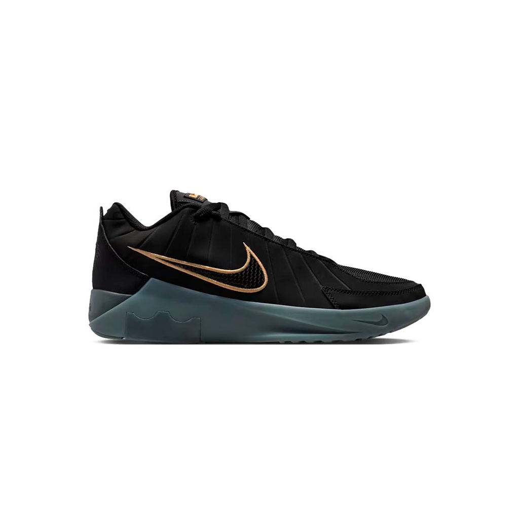 LEBRON WITNESS IX