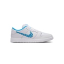 NIKE SB DUNK LOW PRO NH