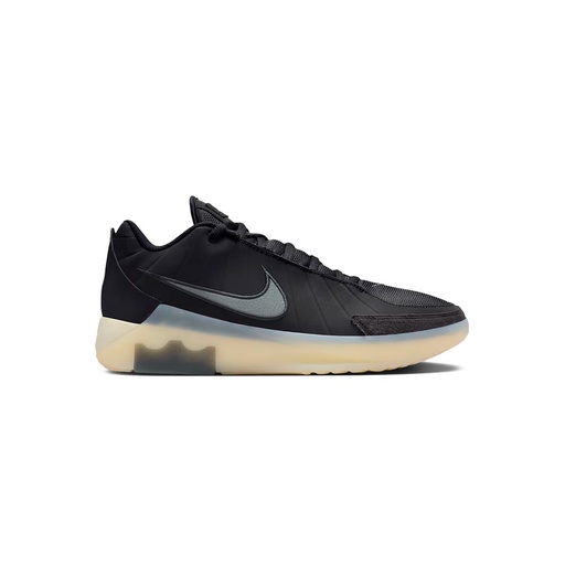 LEBRON WITNESS IX