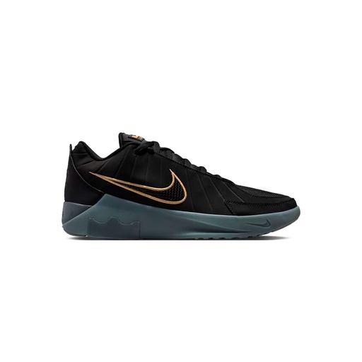 LEBRON WITNESS IX